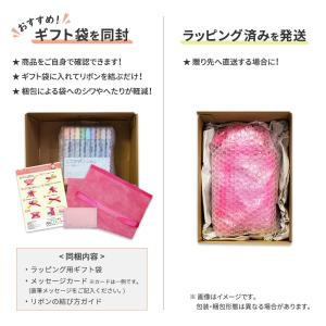 [ラッピング無料] コピックスケッチ ベーシッ...の詳細画像3