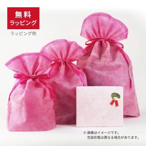 [ラッピング無料] コピックスケッチ ベーシッ...の詳細画像4