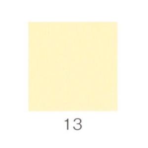 20g 品番01310 13 新岩　黄口黄土 極細目