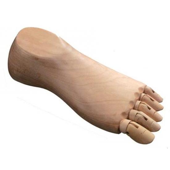 ホルベイン 足のモデル・女 (左) 345124