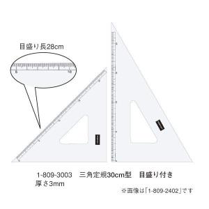 マービー（marvy） ウチダ（マービー） 方眼カッティング定規 30cm（溝