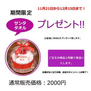 クリスマスリース 直径30cm 秋冬 プレゼン...の詳細画像5