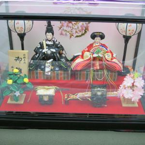 【展示品大廉売】親王ケース飾り黒つやあり121の詳細画像3