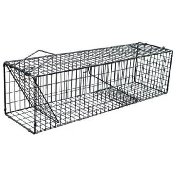 スーパー捕獲器 L ブラック ※取寄品 コンパル