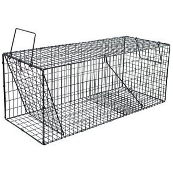 スーパー捕獲器 LL ブラック ※取寄品 コンパル