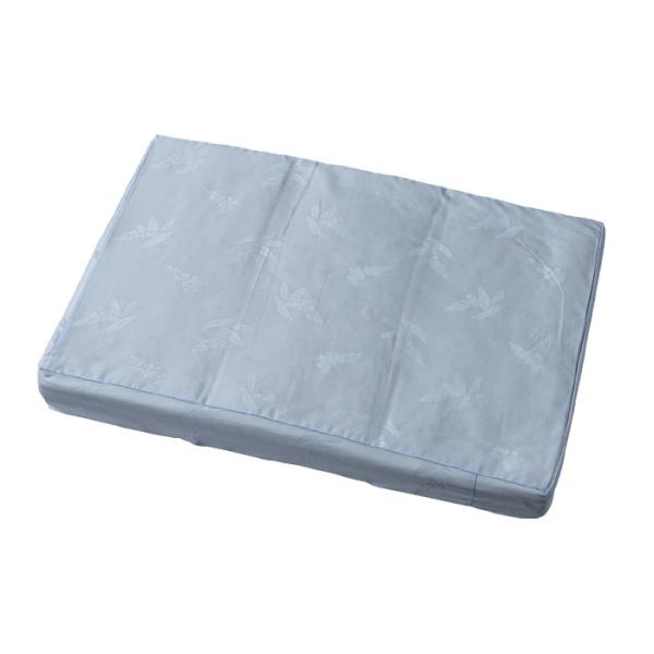 素肌呼吸ワンニャンベッドお部屋用1 ダブルマット(ファスナー)ブルー 取寄品 新潟センチュリー ar...