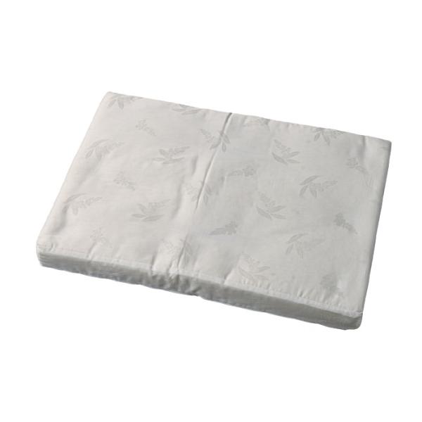 素肌呼吸ワンニャンベッドお部屋用1 ダブルマット(ファスナー)ホワイト取寄品 新潟センチュリー ar...