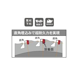 刈払機用チップソー 頑固荒刈 外径mm×刃数P...の詳細画像1