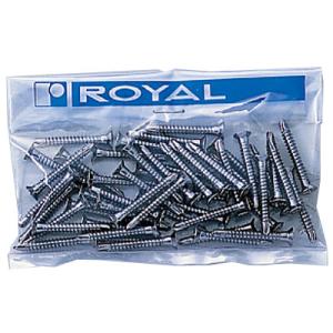 専用軽鉄下地材及び専用Bタッピング 25mm Aニッケルサテン 1パック50本入 BT-P ロイヤル...