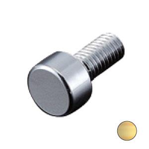 化粧ボルト フラットタイプ ゴールド 取寄品 パイオニアテック PT-9CF10-GO