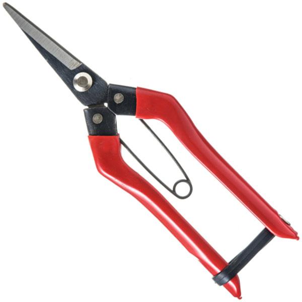 芽切鋏 195mm ※取寄品 高芝ギムネ No.SR-002