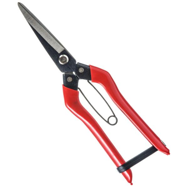 青果鋏 210mm ※取寄品 高芝ギムネ No.SR-004