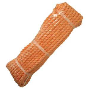 PROCO トラックロープ クレモナ・ポリ混 ハ...の商品画像