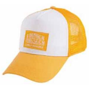 メッシュキャップ イエロー サイズ：フリー ※取寄品 DIVERSTYLE DS-1160