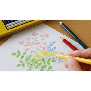Tombow 缶入り色鉛筆 NQ 36色【1セ...の詳細画像2