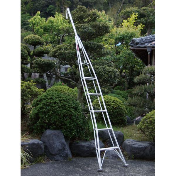 一本梯子(頭部首振りタイプ) 受注生産 メーカー直送 ナガノ HD-6H