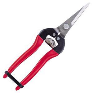 摘果鋏 ロングタイプ ステンレス(ブリスターパック入) アルス 300L-DX-BP