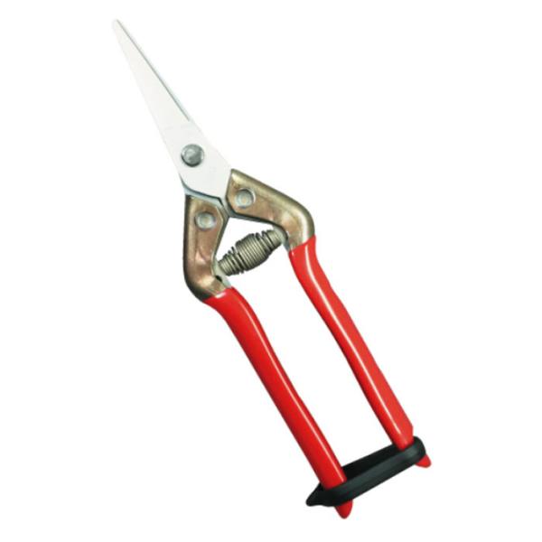 近正 T-55SKF ステンレス抗菌鋏 BP 取寄品 近正