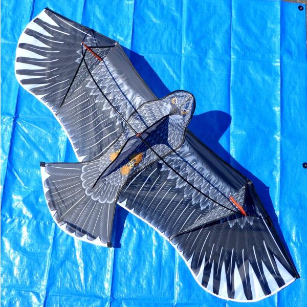 鳥獣害対策商品 カイト鷹 愛農 KD-180
