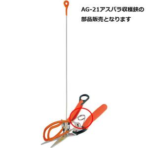 【部品】 替バネ(2本入) アスパラ収穫鋏AG...の詳細画像1