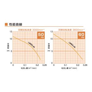 低水位排水用水中ハイスピンポンプ 自動型 50...の詳細画像2