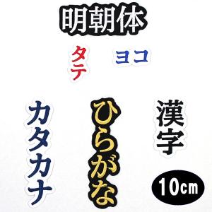 ワッペン アップリケ オーダーワッペン 刺繍 ひらがな 漢字 カタカナ