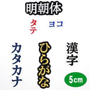 ワッペン アップリケ オーダーワッペン 刺繍 ひらがな 漢字 カタカナ 一文字 複数文字 1文字 名前 企業/社名 ネーム 名入れ 名札 ゼッケン アイロン接着 お名前｜ardent