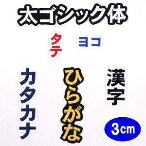 ワッペン アップリケ オーダーワッペン 刺繍 ひらがな 漢字 カタカナ 一文字 1文字 複数文字 名前 企業/社名 ネーム 名入れ 名札 ゼッケン アイロン接着 お名前｜ardent