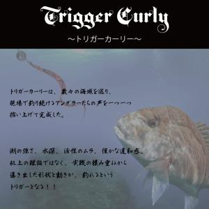 鯛ラバ トリガーカーリー 厚み 0.8mm B...の詳細画像1