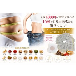 貼るだけ 簡単 ダイエット パッチ 40枚入 ...の詳細画像1