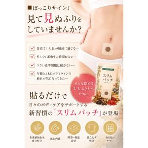 貼るだけ 簡単 ダイエット パッチ 40枚入 ...の詳細画像3