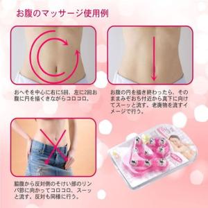 ゆうメール 送料無料 コロコロ ボディー用 マ...の詳細画像4