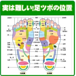 ゆうメール 送料無料 オカリナ型 足 ツボ カ...の詳細画像4