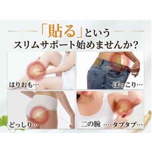 【お試し】貼るだけ 簡単 ダイエット パッチ ...の詳細画像2