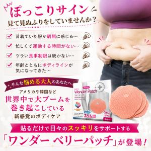 【話題沸騰】ワンダー ベリーパッチ 5枚入 腹...の詳細画像3