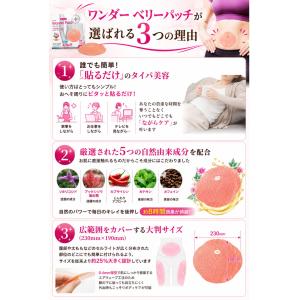 【話題沸騰】ワンダー ベリーパッチ 5枚入 腹...の詳細画像4