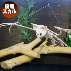 エリア27 スカルグッズ インテリア雑貨 Yahoo ショッピング