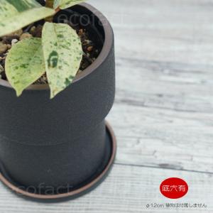 植木鉢 おしゃれ 陶器鉢 フラワーポット ミニポット 底穴あり ロック