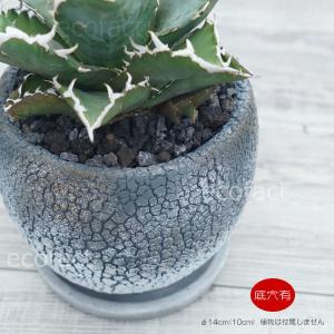 山草鉢 z-1838 黒 和風 生花 盆栽 鉢 陶器 多肉植物 観葉植物 塊根植物