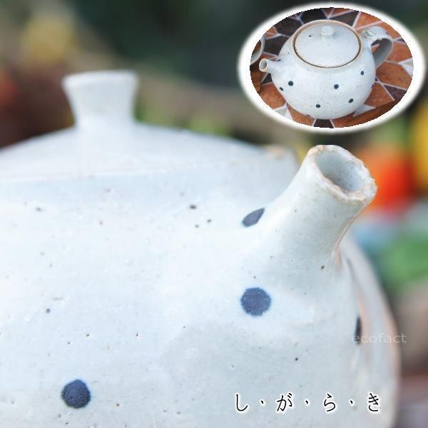 おしゃれ 急須  ティーポット 400cc「ドット白」信楽焼（しがらきやき） スカーレット 陶器 焼...