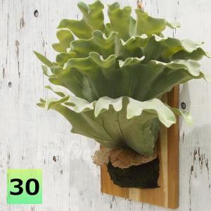 IKEA/イケア FEJKA：人工観葉植物180 cm クリスマスツリー