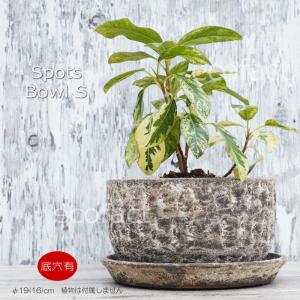 つばき 紲鉢 綱木紋 植木鉢 観葉植物 ライトグレー ホワイト ミックス