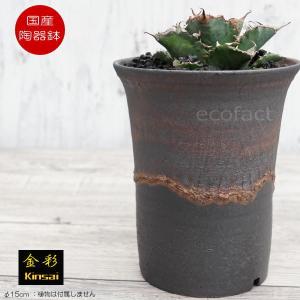植木鉢 陶器 楽風ラン鉢_8号W260xD260xH350ミリ : ヤマコー畑岡幸助