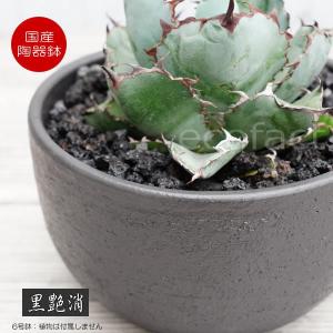 陶器鉢 植木鉢 6号 丸型 艶消し 黒 ブラック おしゃれ プランター 園芸