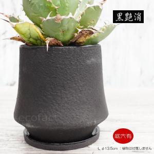 植木鉢 陶器 楽風ラン鉢_4.5号W145xD145xH190ミリ : ヤマコー畑岡幸助