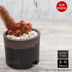 ファブリック プランター SSサイズ キリム 10cm 3色 TTZ-520 鉢カバー