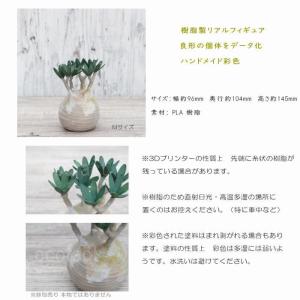 フェイクグリーン 3D フィギュア グラキリス...の詳細画像2
