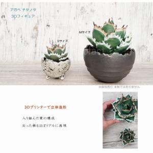 フェイクグリーン 3D フィギュア アガベ チ...の詳細画像1