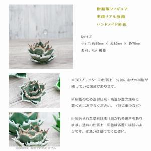 フェイクグリーン 3D フィギュア アガベ チ...の詳細画像2