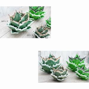 フェイクグリーン 3D フィギュア アガベ チ...の詳細画像5
